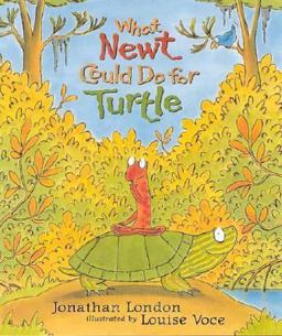 What Newt Could Do for Turtle