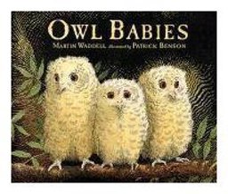 Owl Babies 564-02965