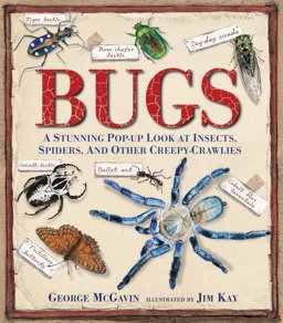 Bugs A Stunning Pop-Up Look at Insects, Spiders, and Other Creepy-Crawlies  9780763667627 Front Cover