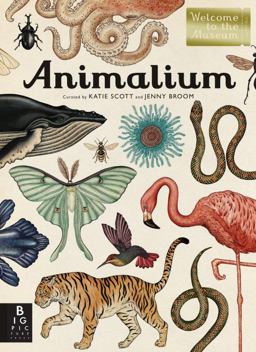 Animalium Welcome to the Museum  9780763675080 Front Cover