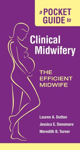 Pocket Guide to Clinical Midwifery the Efficient Midwife  9780763761349 Front Cover
