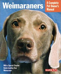 Weimaraners