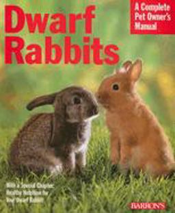Dwarf Rabbits