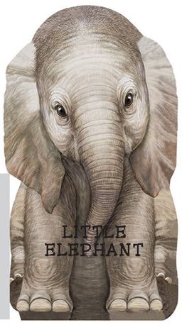 Little Elephant  9780764168796 Front Cover