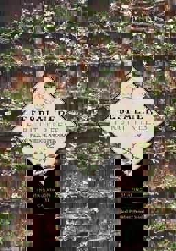 Espalier Fruit Trees for Wall, Hedge, and Pergola Installation ï¿½ Shaping ï¿½ Care  9780764344886 Front Cover