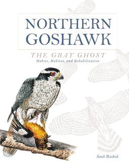 Northern Goshawk, the Gray Ghost Habits, Habitat, and Rehabilitation  9780764349904 Front Cover