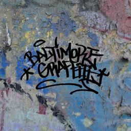 Baltimore Graffiti The Definitive Charm City Style Collection  9780764351549 Front Cover