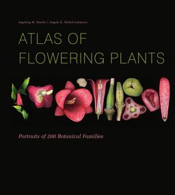 Atlas of Flowering Plants Visual Studies of 200 Deconstructed Botanical Families  9780764361333 Front Cover