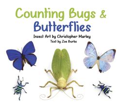 Counting Bugs and Butterflies Insect Art by Christopher Marley  9780764981296 Front Cover
