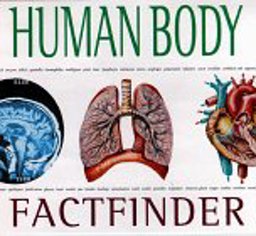 The Human Body