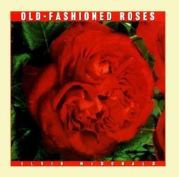 Old-Fashioned Roses