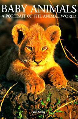 Baby Animals