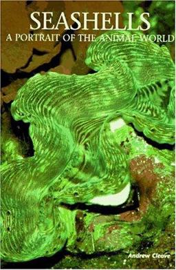 Seashells: a Portrait of the Animal World