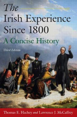 Irish Experience since 1800: a Concise History A Concise History 3rd 9780765625113 Front Cover