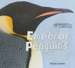 Emperor Penguins