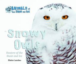 Snowy Owls