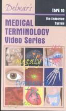 The Endocrine System