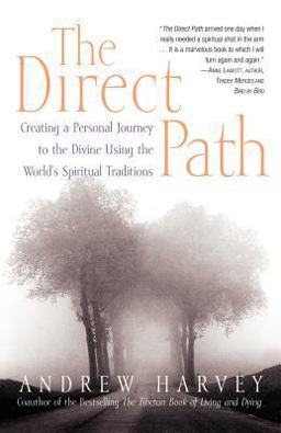 Direct Path Creating a Personal Journey to the Divine Using the World's Spirtual Traditions  9780767903004 Front Cover