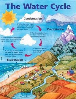 The Water Cycle