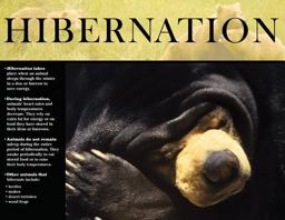 Hibernation