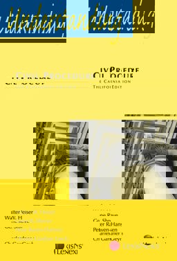 Understanding Civil Procedure  9780769851563 Front Cover