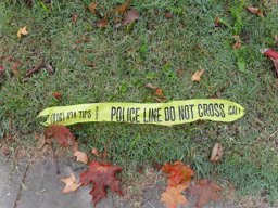 Prisoners Paroled to the Violent Streets Describe Their Lives to Us