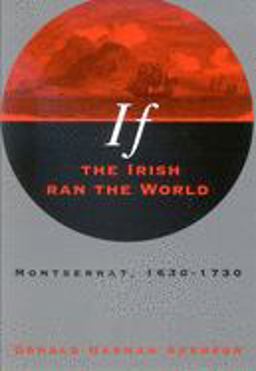 If the Irish Ran the World