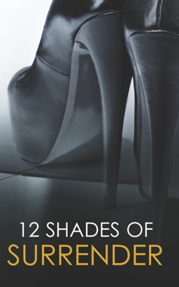 12 Shades of Surrender Chance of a Lifetime; The Challenge; Taste of Pleasure; Seven Day Loan; Taking Her Boss under His Hand  9780778314943 Front Cover