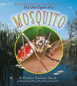 The Life Cycle of a Mosquito The Life Cycle of a Mosquito