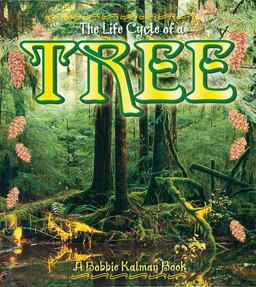 Life Cycle of a Tree  9780778706892 Front Cover