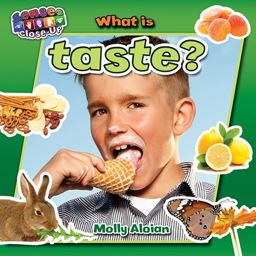 What Is Taste?