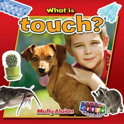 What Is Touch?