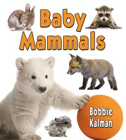 Baby Mammals Baby Mammals