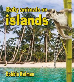 Baby Animals on Islands Baby Animals on Islands