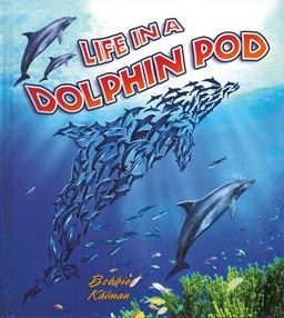 Life in a Dolphin Pod Life in a Dolphin Pod