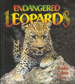 Endangered Leopards Endangered Leopards