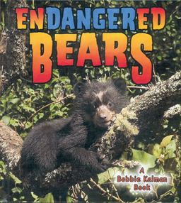 Endangered Bears Endangered Bears