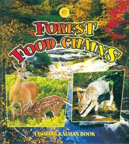 Forest Food Chains Forest Food Chains