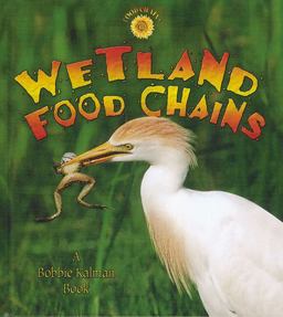 Wetland Food Chains Wetland Food Chains