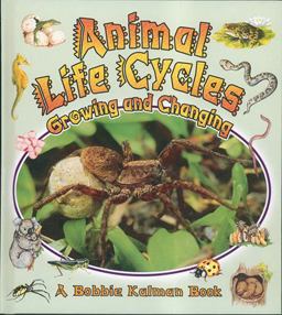 Animal Life Cycles Animal Life Cycles