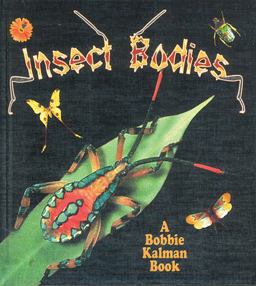 Insect Bodies Insect Bodies