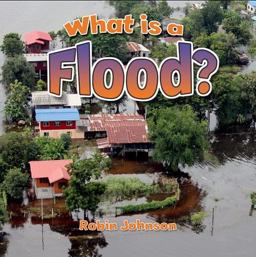What Is a Flood? What Is a Flood?