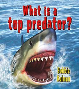 What Is a Top Predator? What Is a Top Predator?