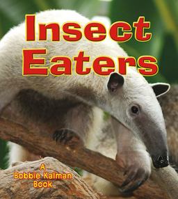 Insect Eaters Insect Eaters