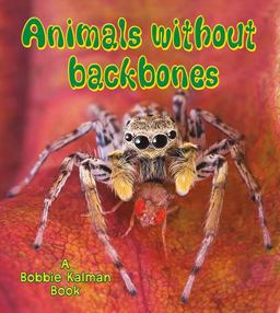 Animals Without Backbones Animals Without Backbones