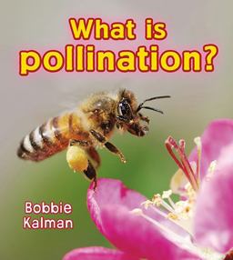 What Is Pollination? What Is Pollination?