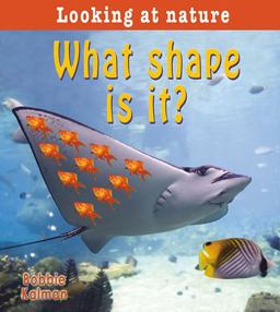 What Shape Is It? What Shape Is It?
