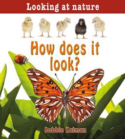 How Does It Look?  9780778733355 Front Cover