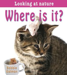 Where Is It? Where Is It?