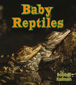 Baby Reptiles Baby Reptiles